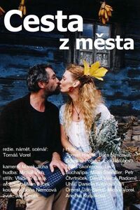 Cesta z mesta